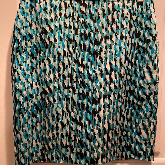 Ann Taylor Pencil Skirt - Picture 1 of 3